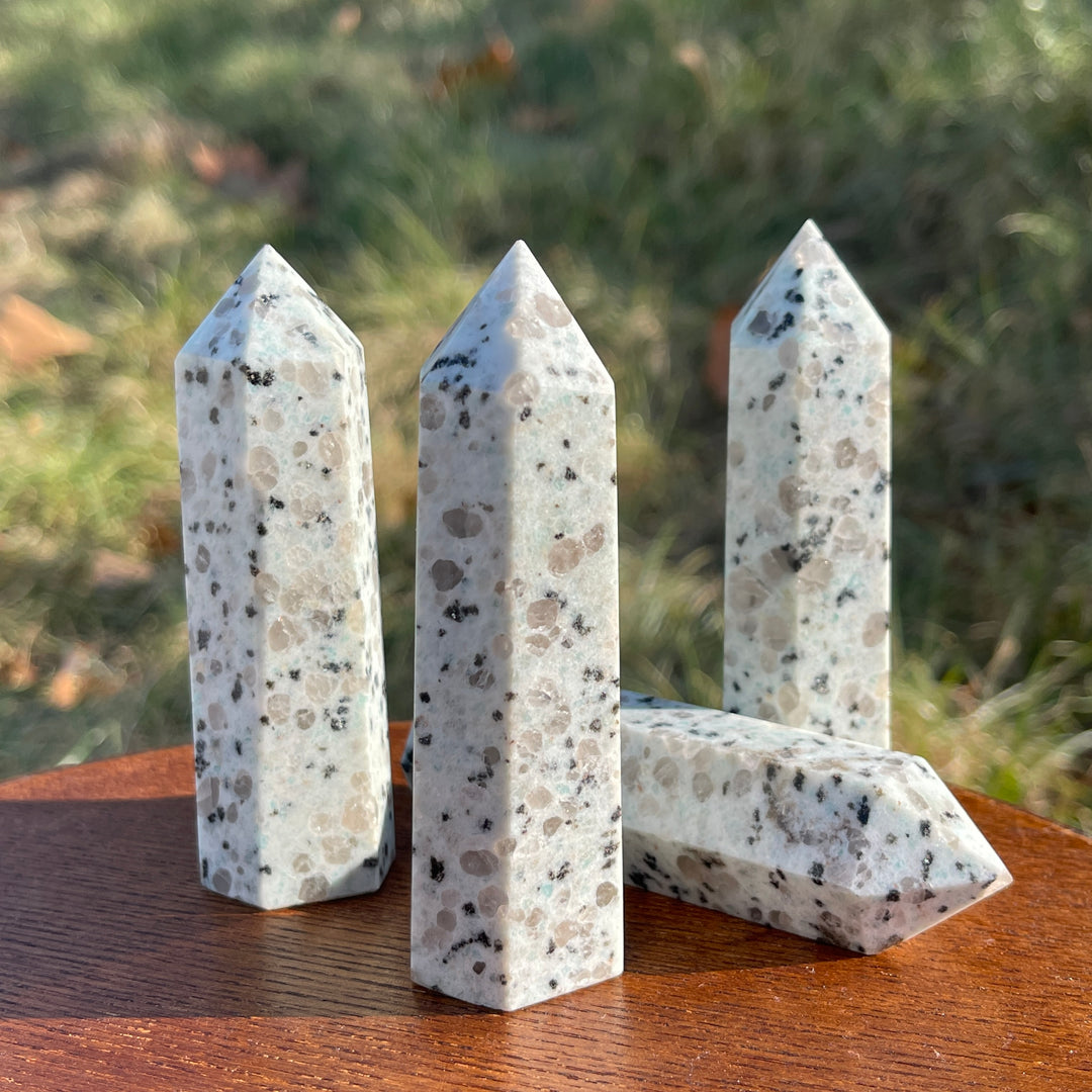 Natural Kiwi Jasper Point