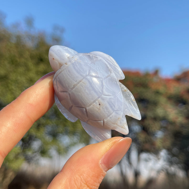 Natural Carving Blue Agate Turtle