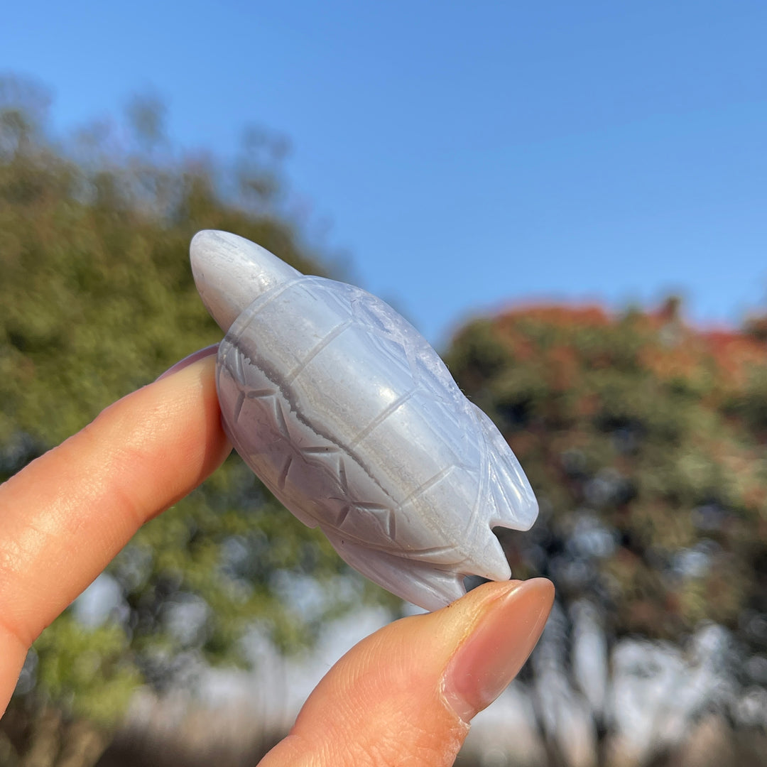 Natural Carving Blue Agate Turtle