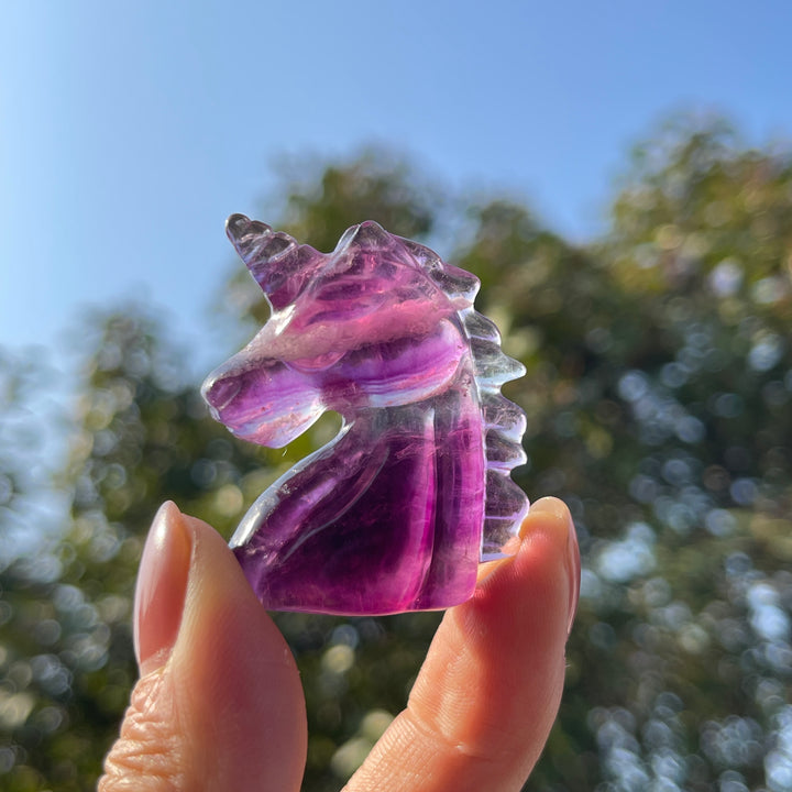 Natural Carving Rainbow Fluorite Unicorn