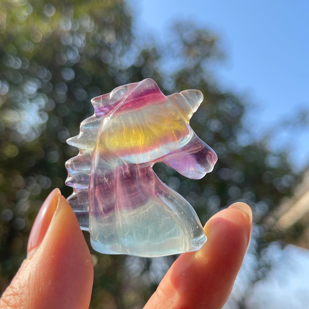 Natural Carving Rainbow Fluorite Unicorn