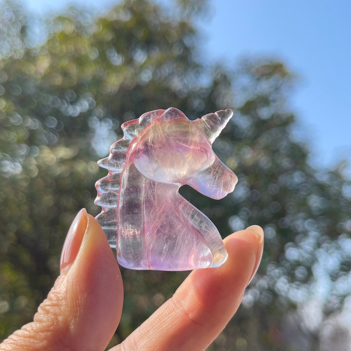 Natural Carving Rainbow Fluorite Unicorn