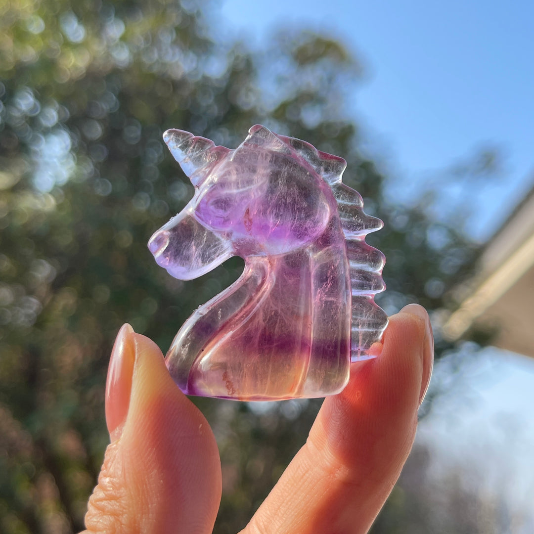 Natural Carving Rainbow Fluorite Unicorn