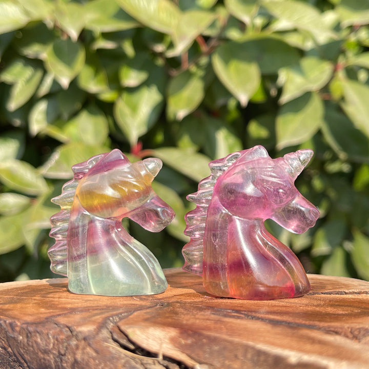 Natural Carving Rainbow Fluorite Unicorn