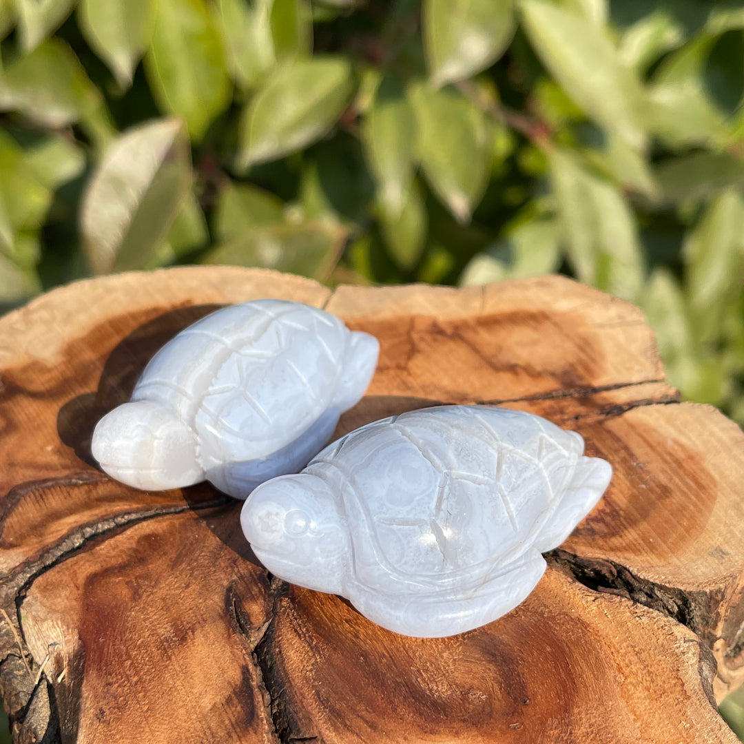 Natural Carving Blue Agate Turtle