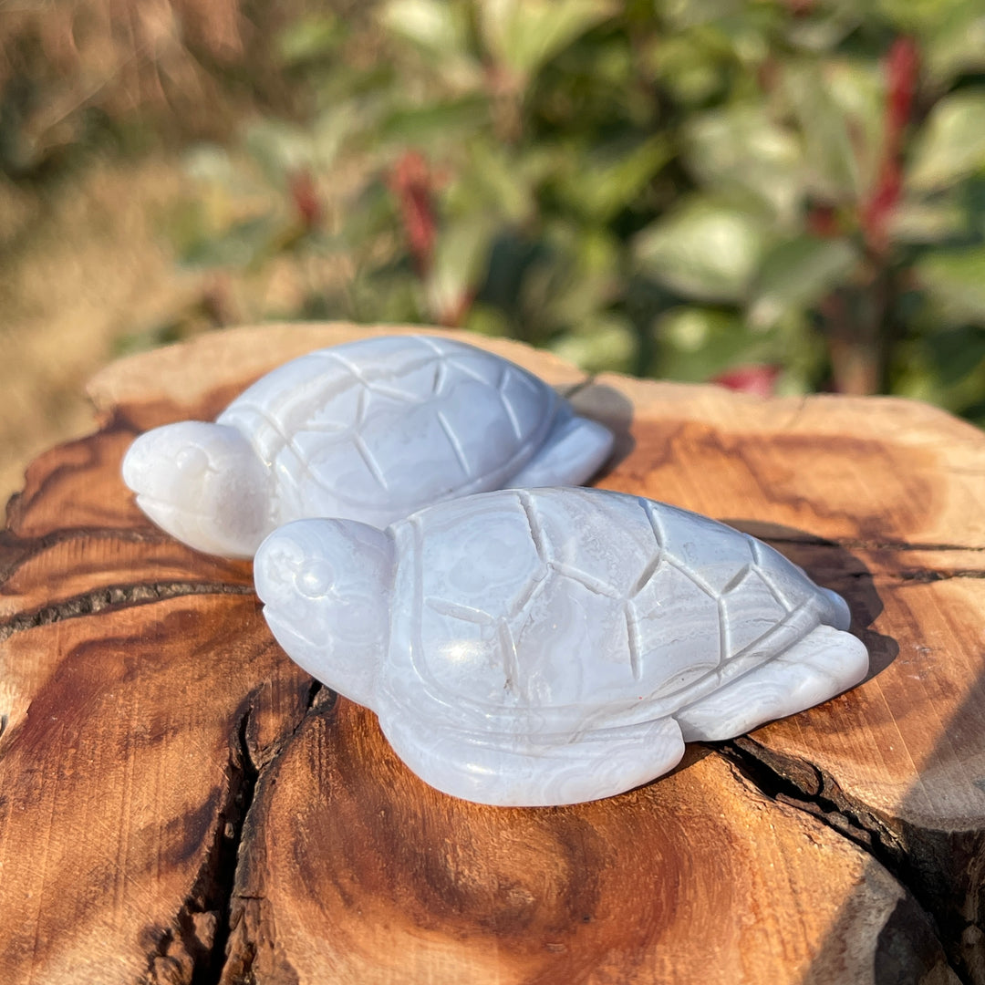 Natural Carving Blue Agate Turtle
