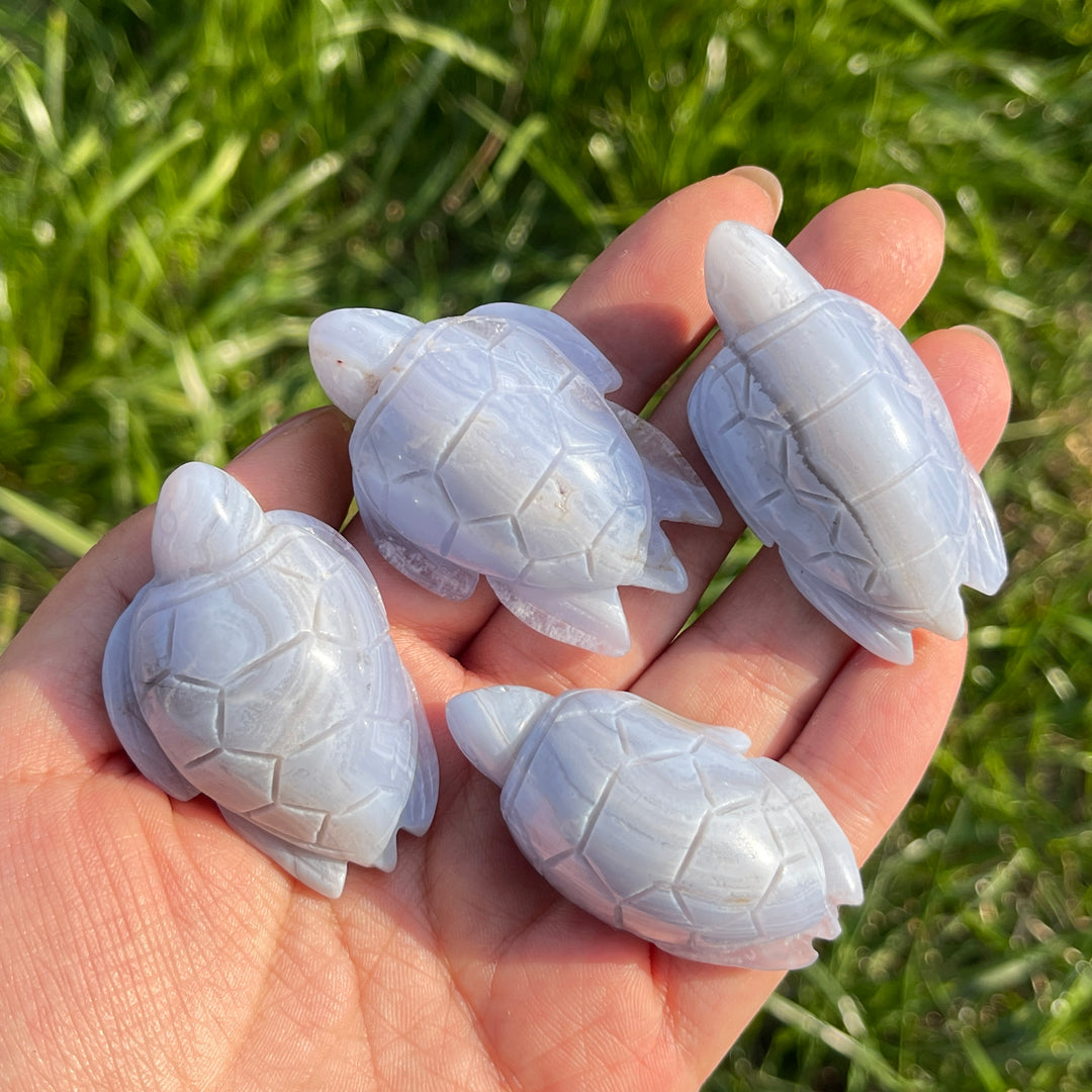 Natural Carving Blue Agate Turtle