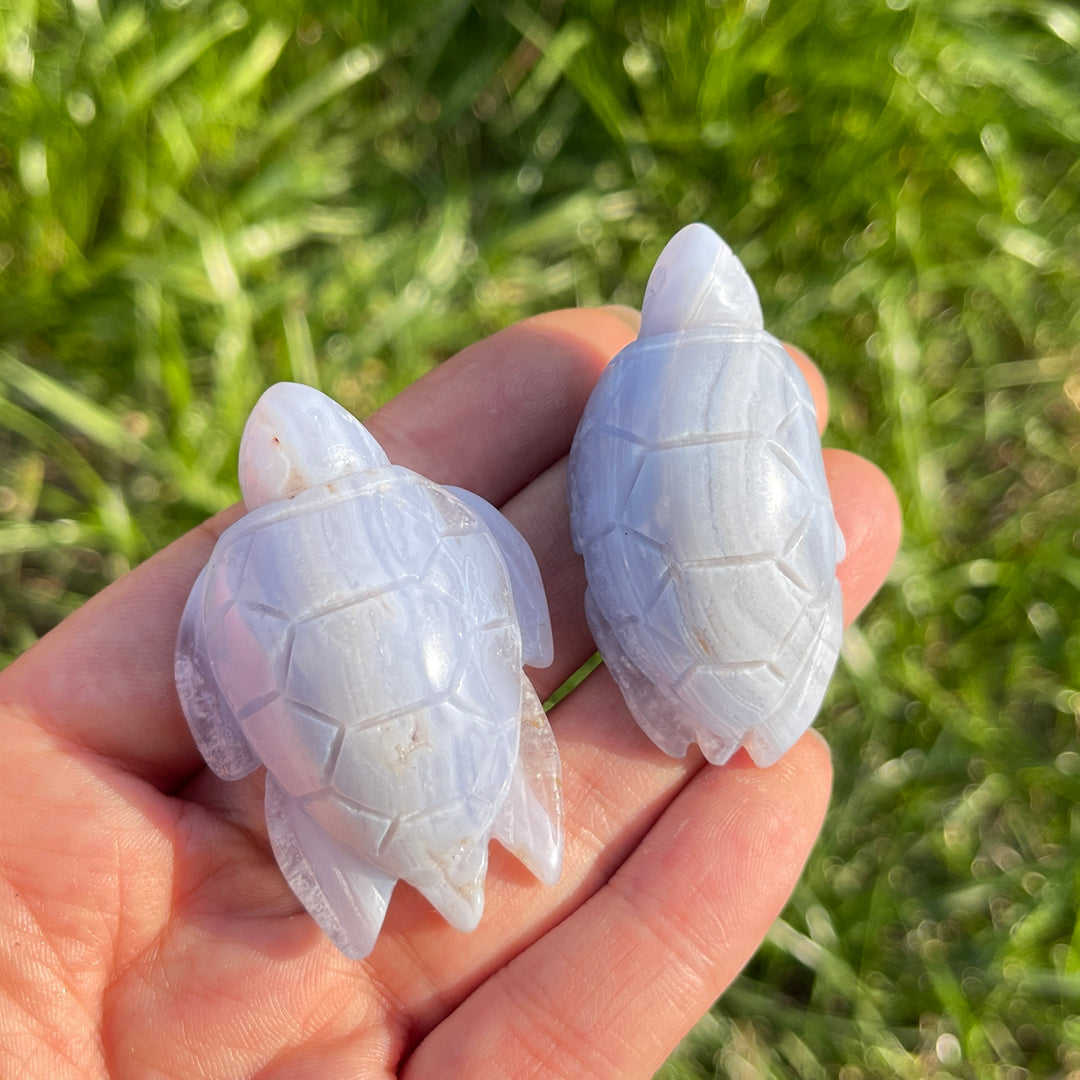Natural Carving Blue Agate Turtle