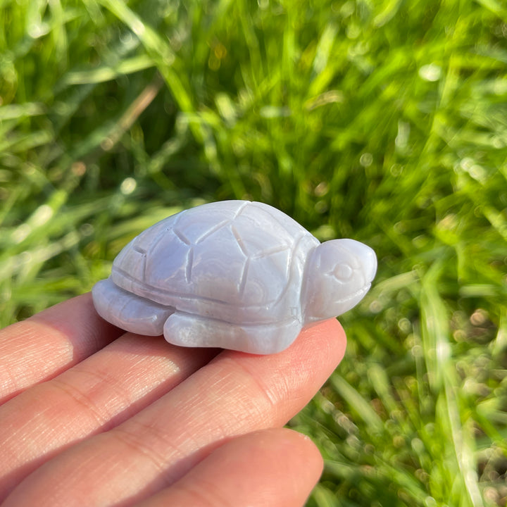Natural Carving Blue Agate Turtle