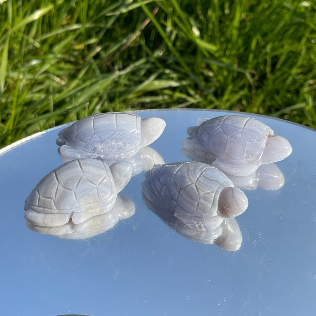Natural Carving Blue Agate Turtle