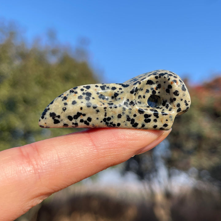 Natural Dalmatian Jasper Crow Skull