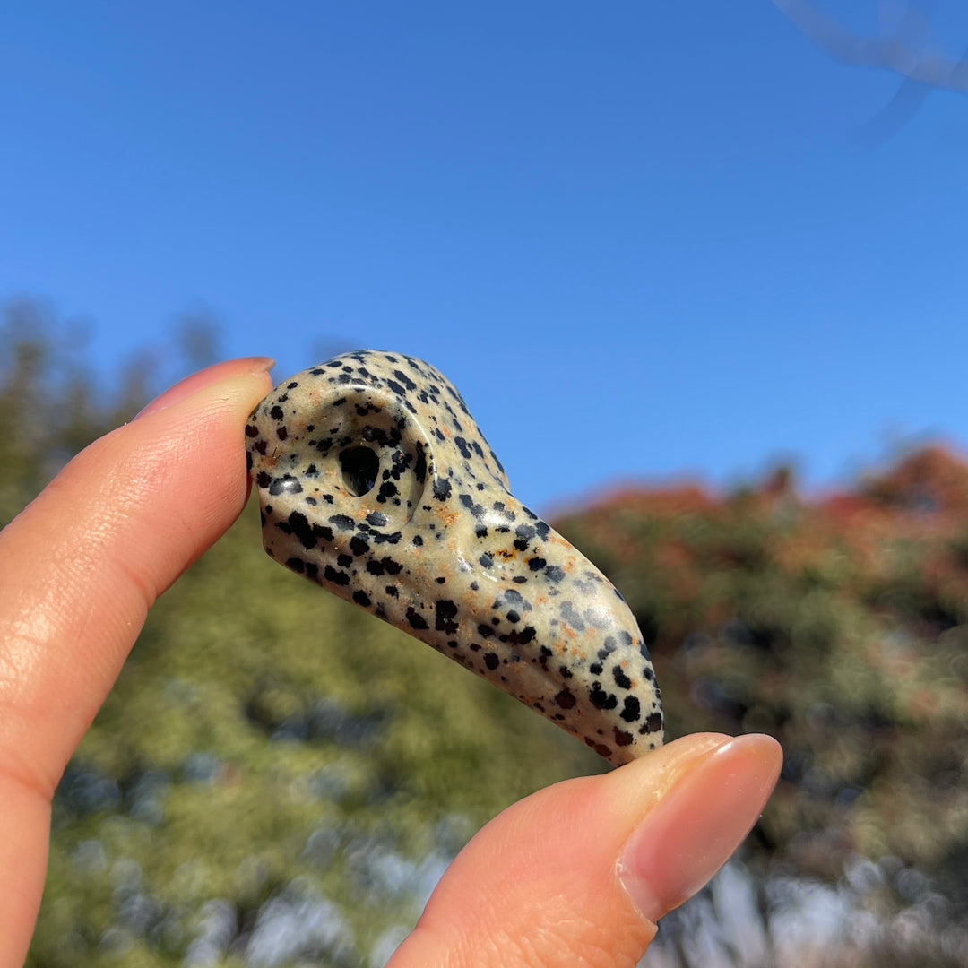Natural Dalmatian Jasper Crow Skull