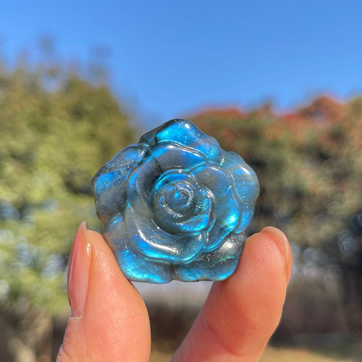 Natural Labradorite Rose