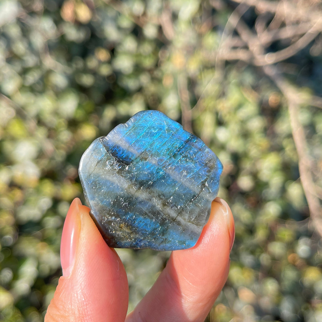 Natural Labradorite Rose