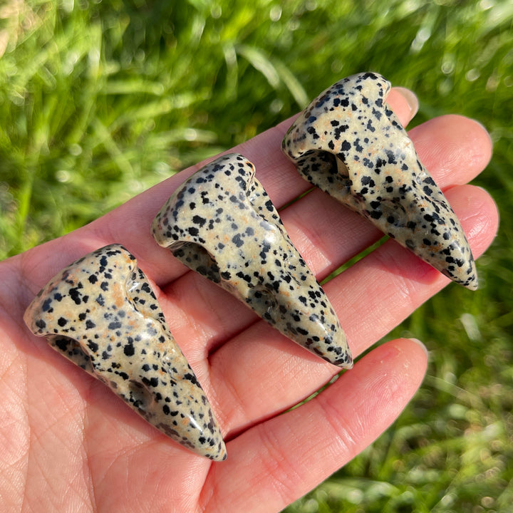 Natural Dalmatian Jasper Crow Skull