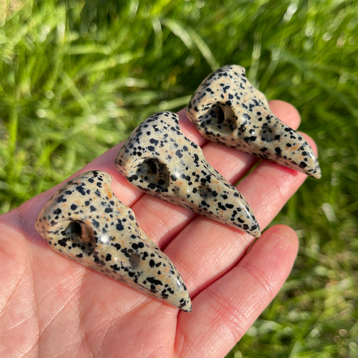 Natural Dalmatian Jasper Crow Skull