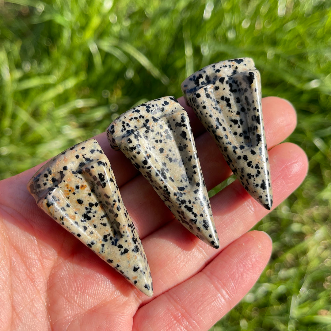 Natural Dalmatian Jasper Crow Skull