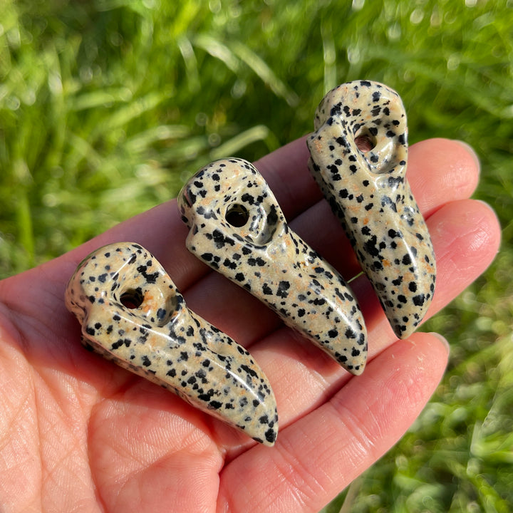 Natural Dalmatian Jasper Crow Skull