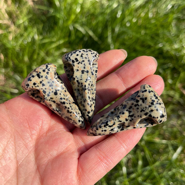 Natural Dalmatian Jasper Crow Skull