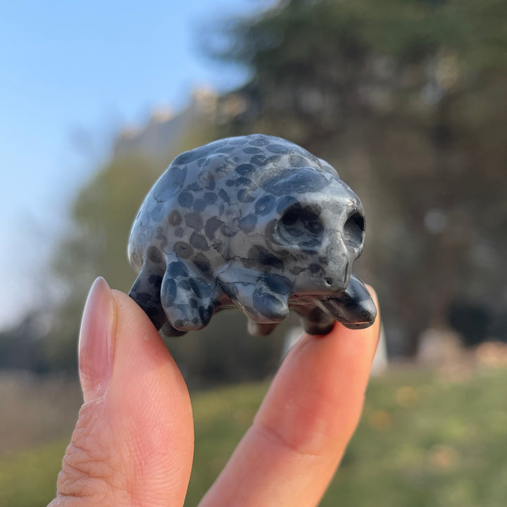 Spider Skull Carving-Pre-sell