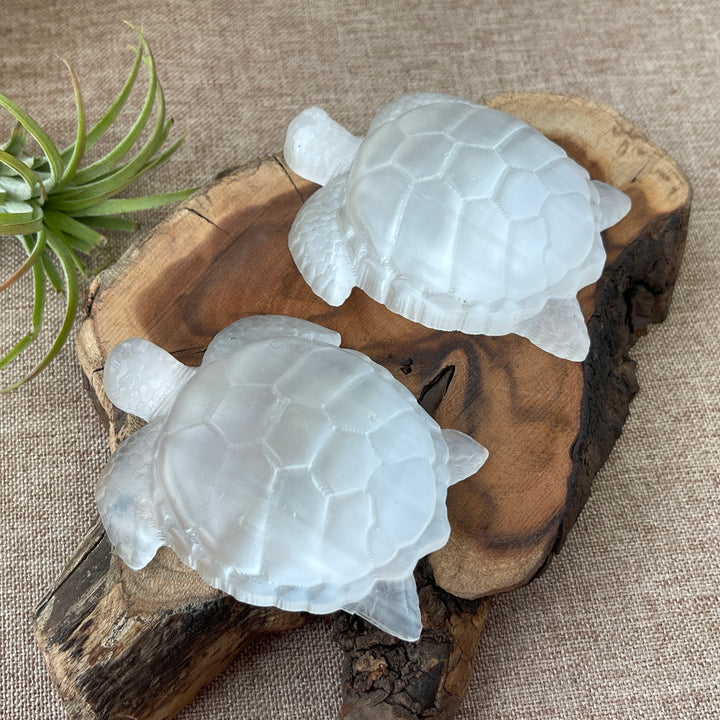 Natural Selenite Sea Turtle