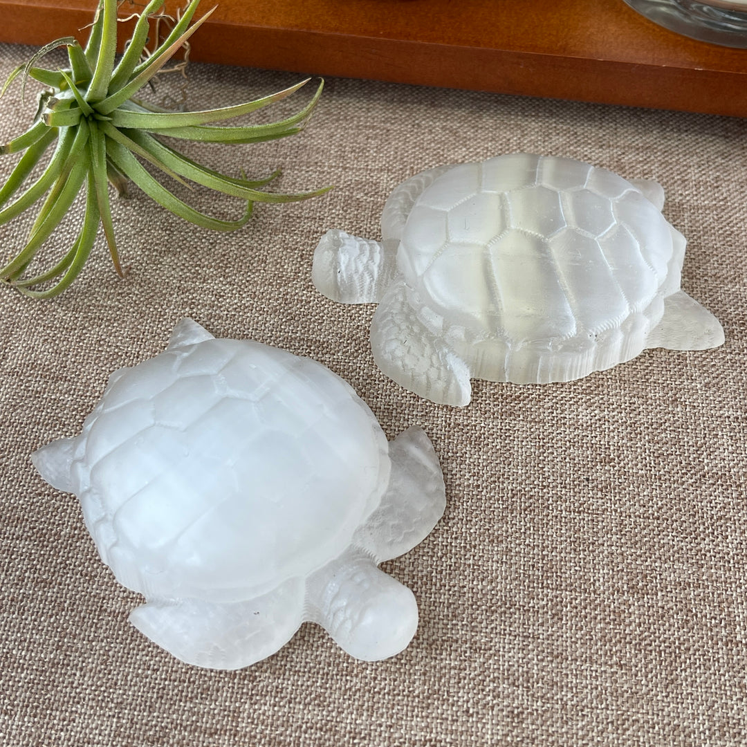 Natural Selenite Sea Turtle