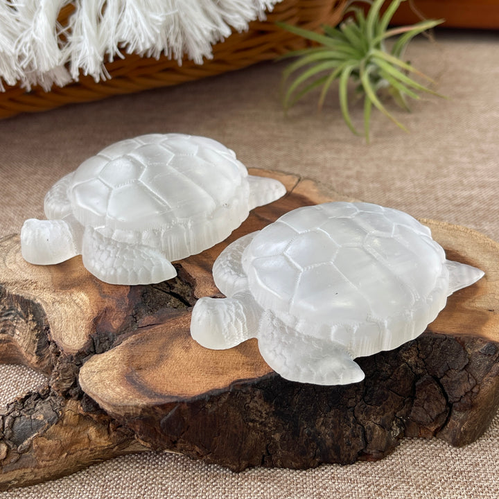 Natural Selenite Sea Turtle