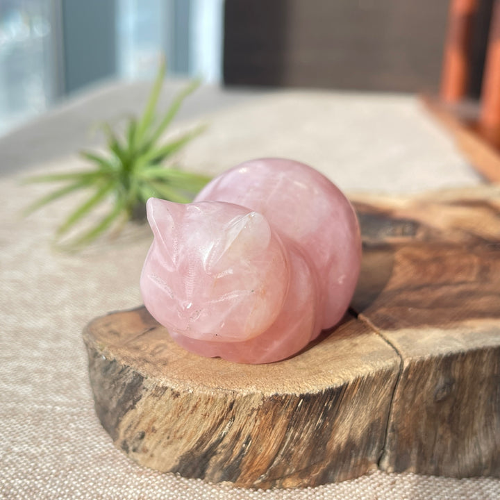 Natural Carving Loaf Cat