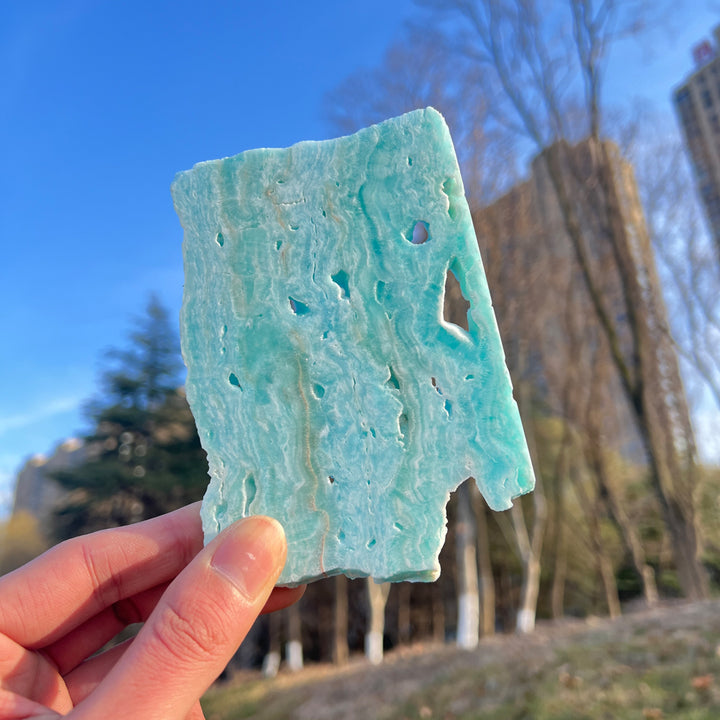 Tranche de serpent en obsidienne dorée