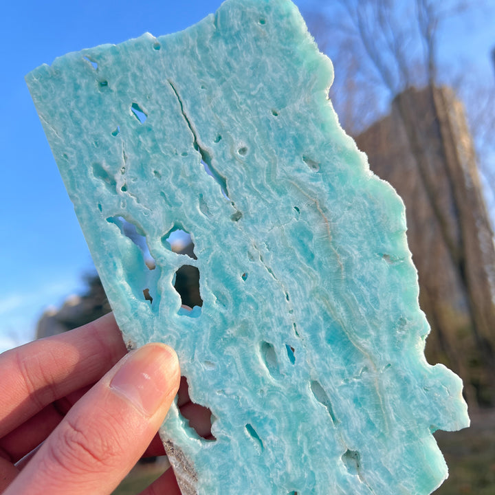 Tranche de serpent en obsidienne dorée