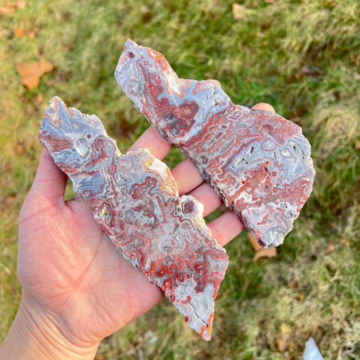 Natural Mexican Agate Slice