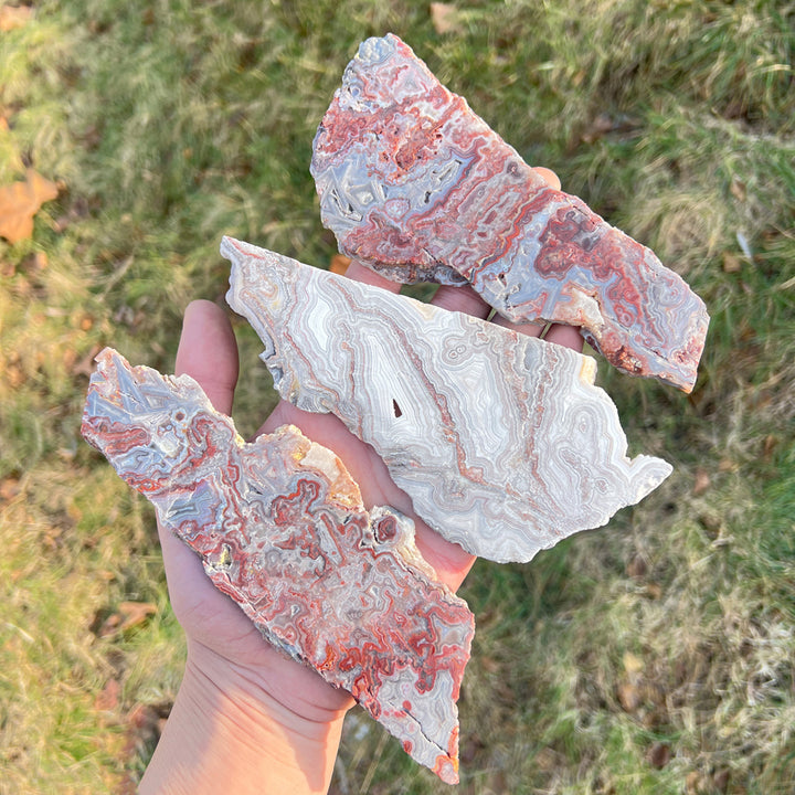 Natural Mexican Agate Slice