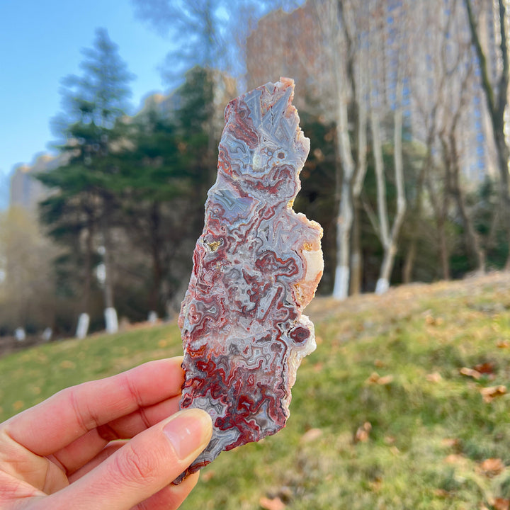 Natural Mexican Agate Slice