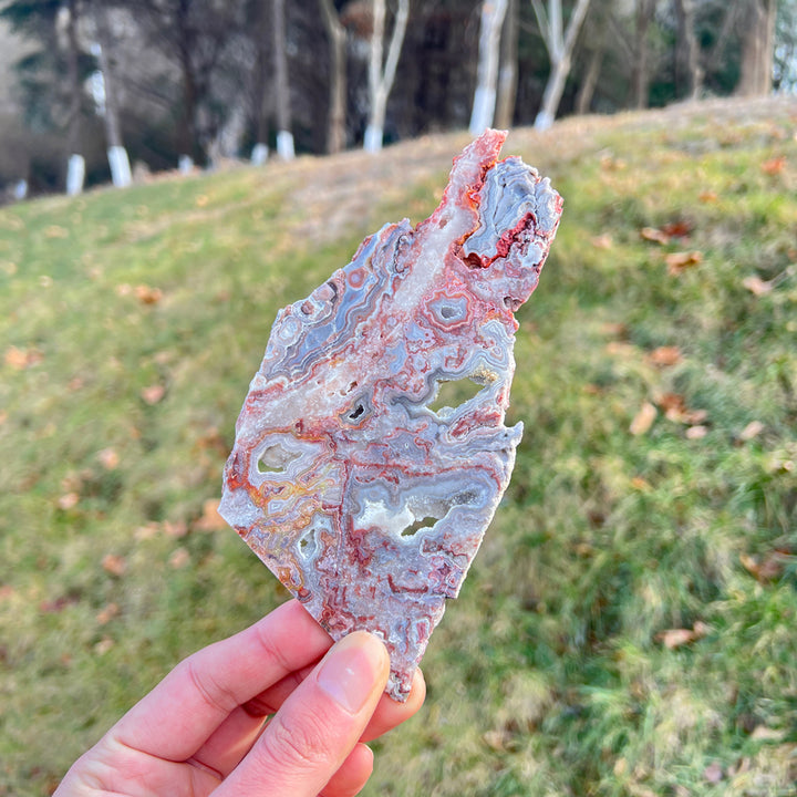 Natural Mexican Agate Slice