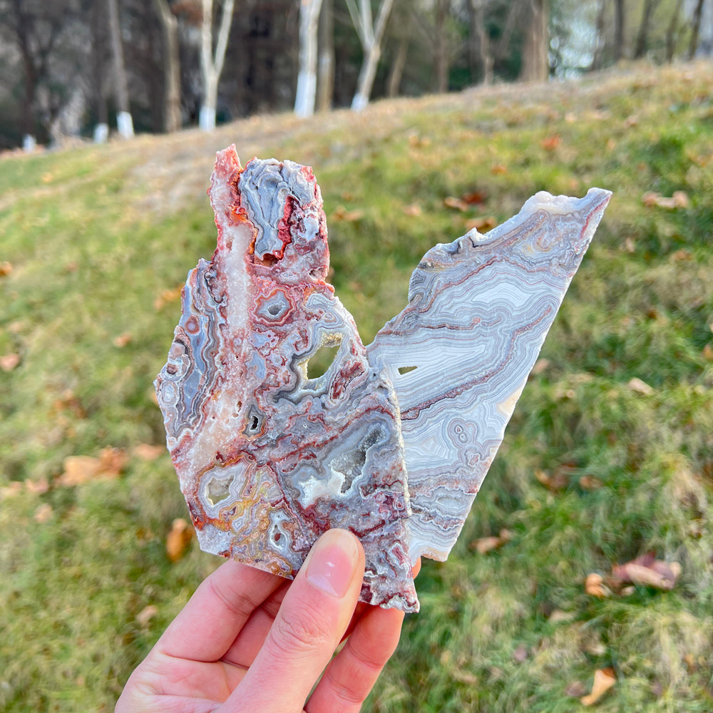 Natural Mexican Agate Slice