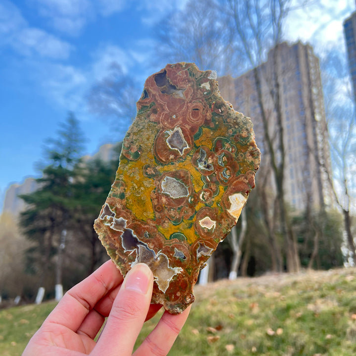 Natural Rainforest Jasper Slice