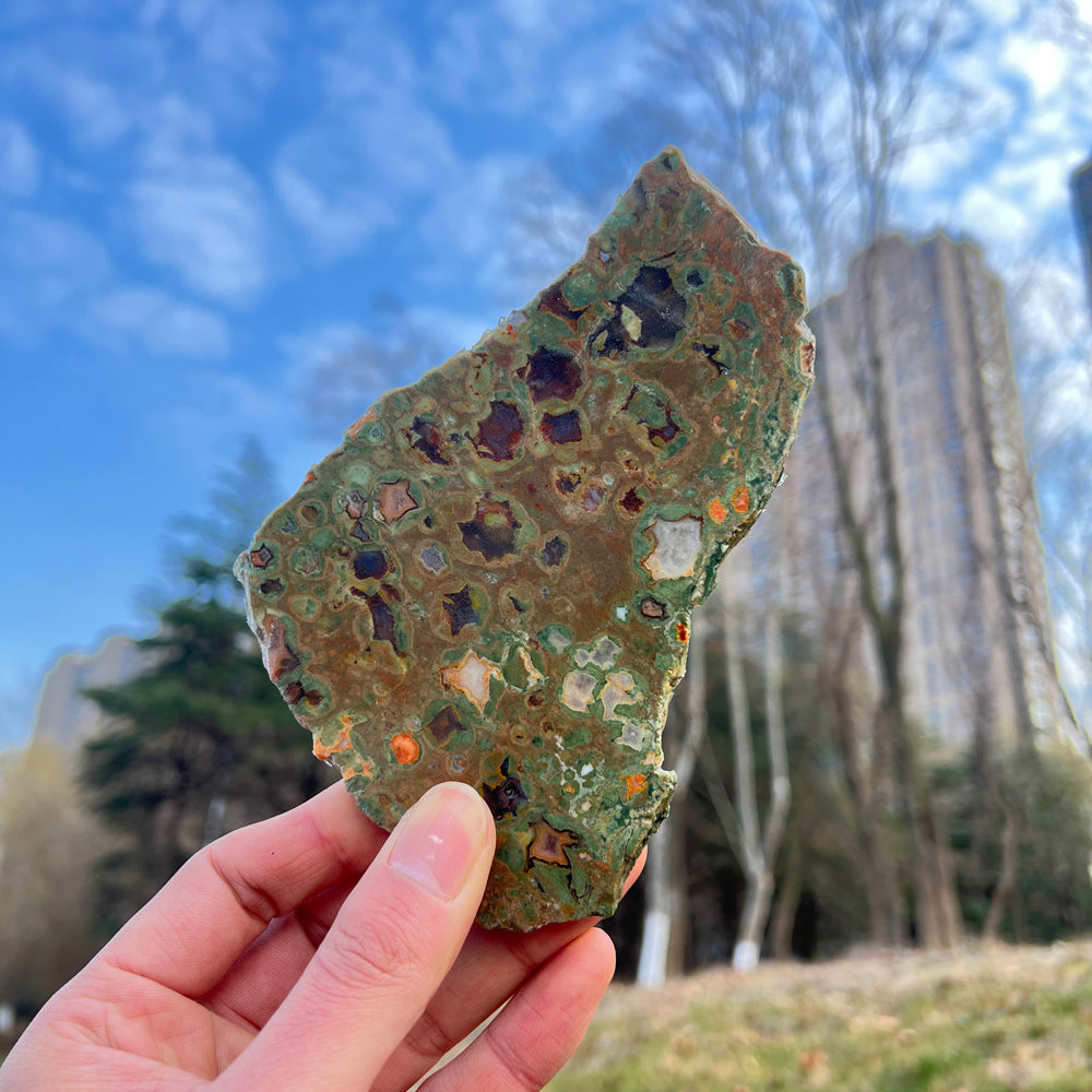 Natural Rainforest Jasper Slice