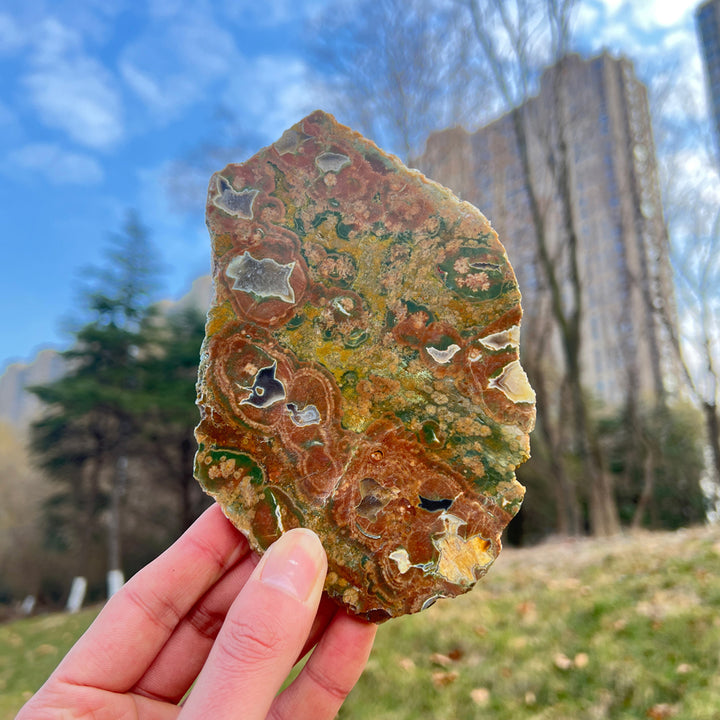 Natural Rainforest Jasper Slice