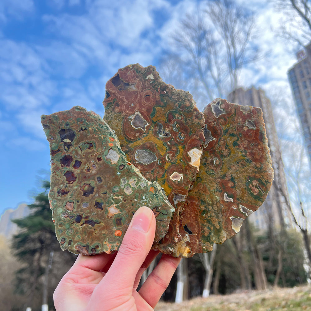 Natural Rainforest Jasper Slice