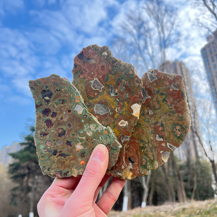 Natural Rainforest Jasper Slice