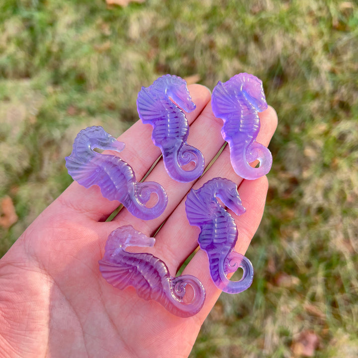 Natural Crystal Carving Fluorite Seahorse