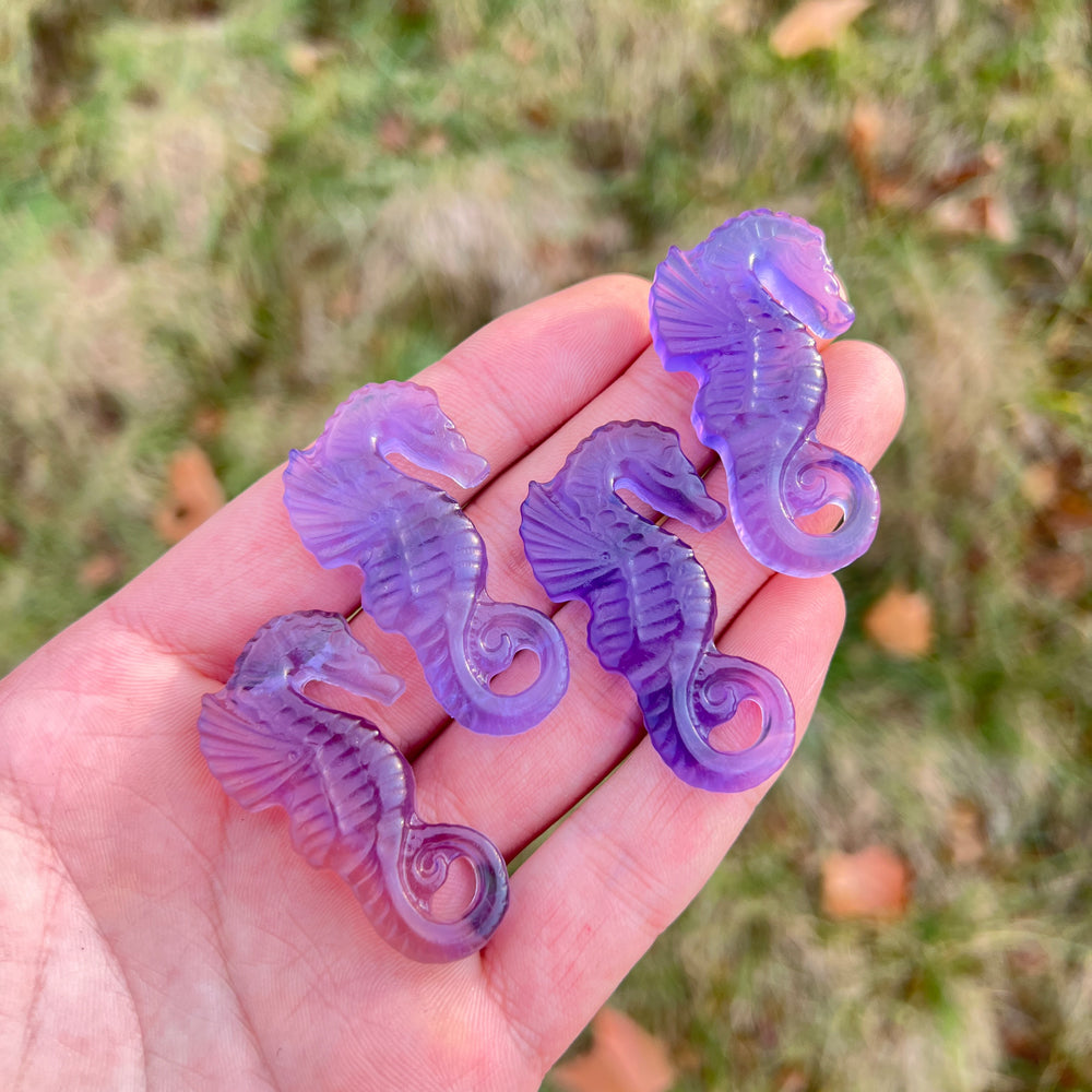 Natural Crystal Carving Fluorite Seahorse