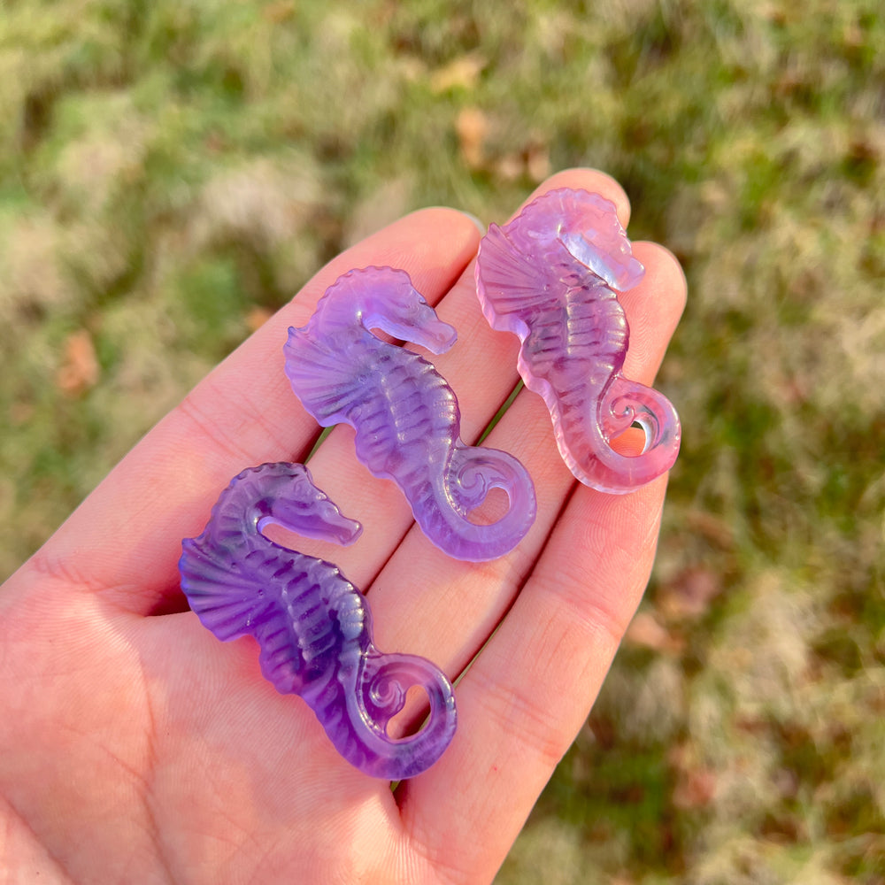 Natural Crystal Carving Fluorite Seahorse