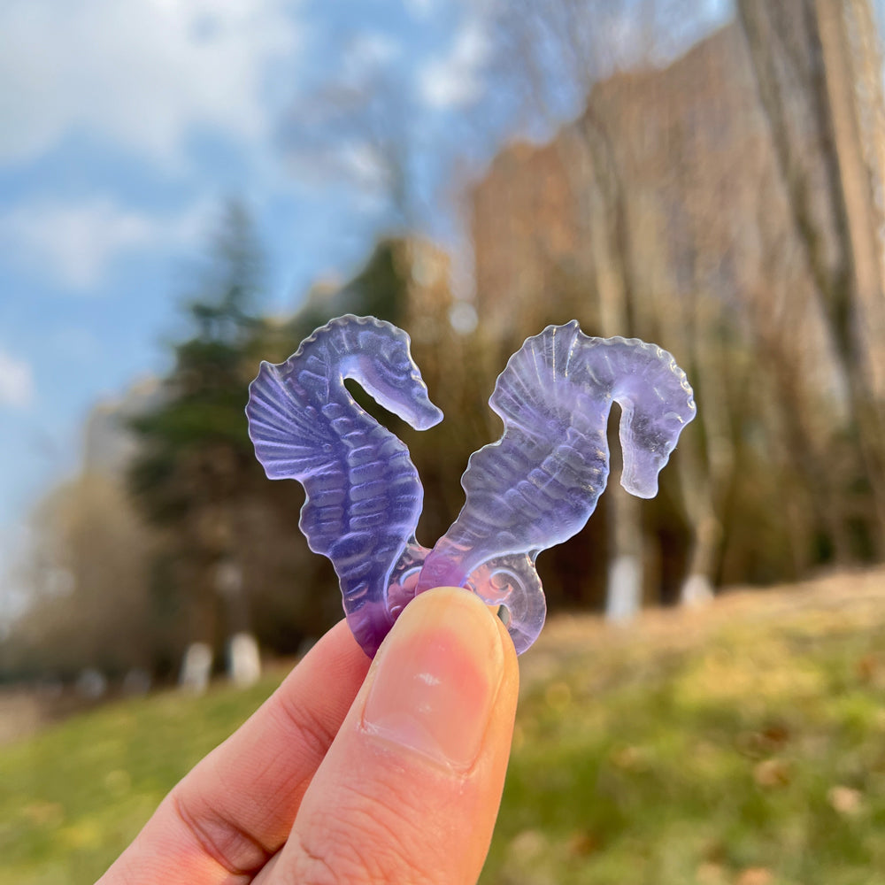 Natural Crystal Carving Fluorite Seahorse