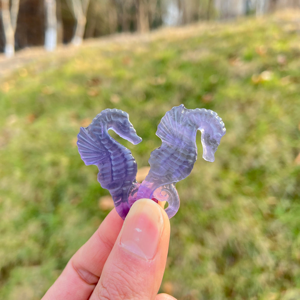 Natural Crystal Carving Fluorite Seahorse