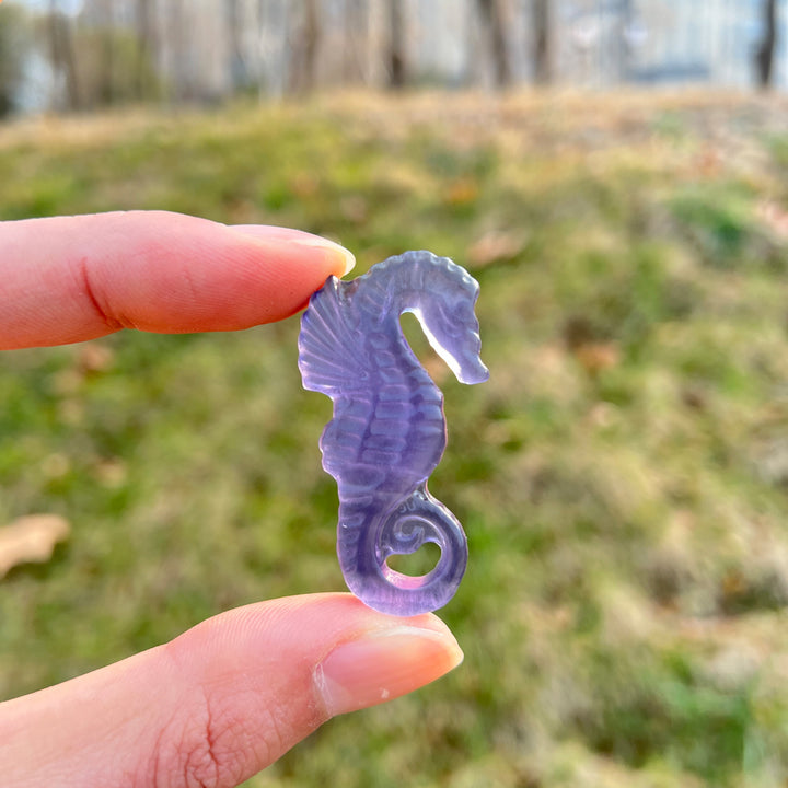Natural Crystal Carving Fluorite Seahorse