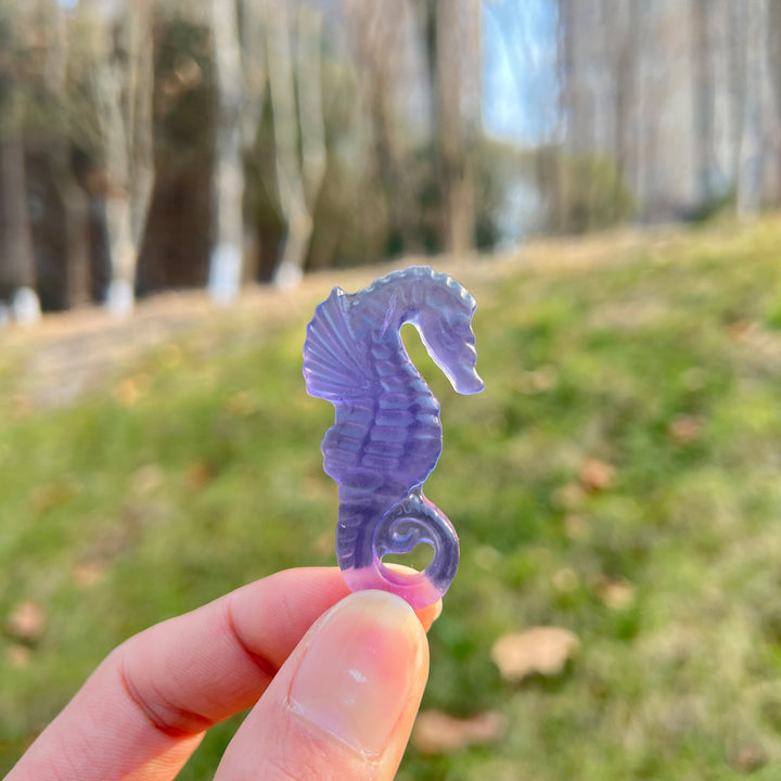 Natural Crystal Carving Fluorite Seahorse