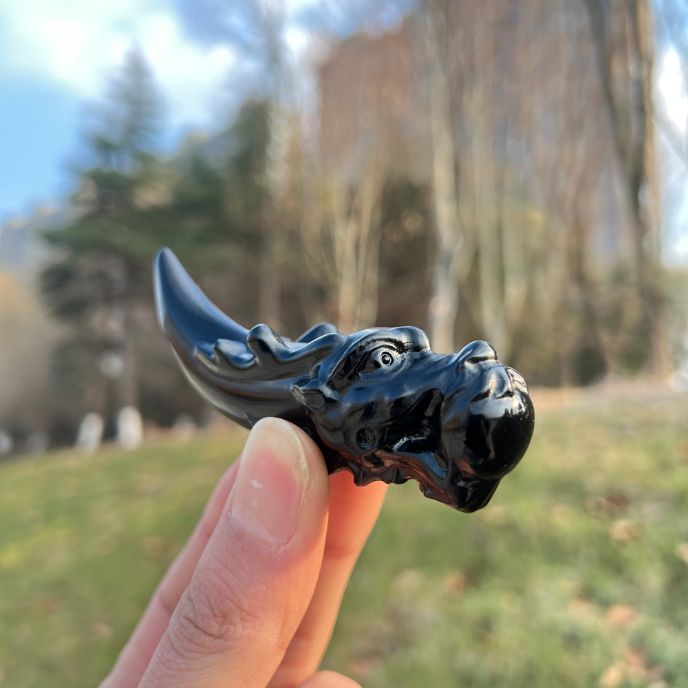 Natural Crystal Carving Obsidian Dragon Tooth