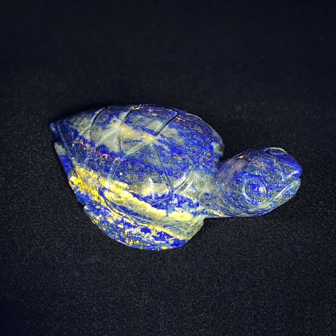 Natural Lapis Lazuli Turtle Carving
