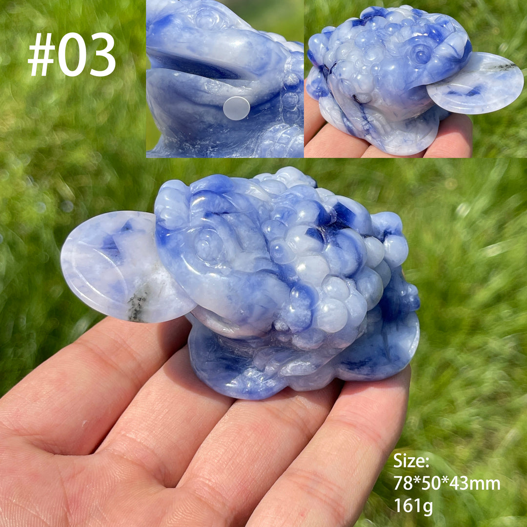 Unique,A Slightly Imperfect Natural Blue And White Sodalite Money Toad Carving